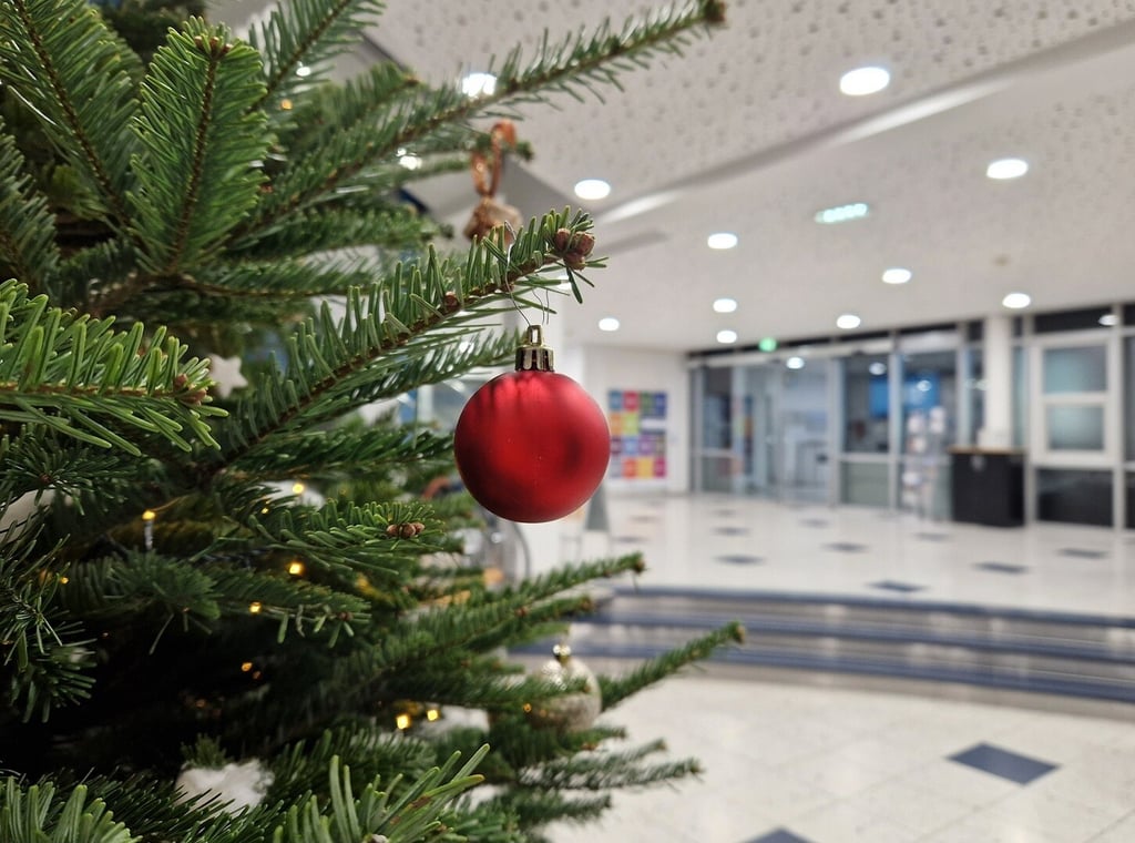 newsletter-4-unnützes-wissen